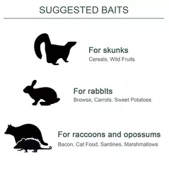 PawHut Two-Door Live Trap for Small Animals, Animal Trap for Rat, Mice - Dark Green - 7