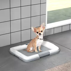 PawHut Dog Toilet Tray for Training Dogs, Dog Litter Tray for Indoor, Outdoor, 47 x 34 x 6cm - 2
