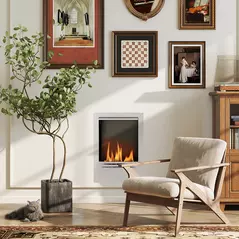 HOMCOM Stainless Steel Bioethanol Fire - Silver Tone - 2