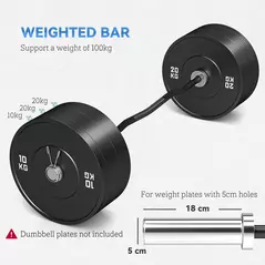 SPORTNOW 120cm EZ Barbell Bar for 5cm Weight Plates, with Spring Clips, 8kg - 5