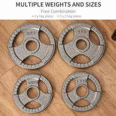 HOMCOM Set of 4 Cast Iron Weight Plate for 2 inch/5cm hole Dumbbell Handle Bar 15kg Dumbbell Plates Barbell Weight 2 x 5kg, 2 x 2.5kg - 7