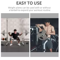 HOMCOM Set of 4 Cast Iron Weight Plate for 2 inch/5cm hole Dumbbell Handle Bar 15kg Dumbbell Plates Barbell Weight 2 x 5kg, 2 x 2.5kg - 4