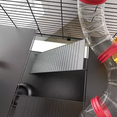 PawHut Gerbil Cage Dwarf Hamster Cage, with Deep Glass Bottom, Tunnels, Hut, Exercise Wheel, 60 x 40 x 57cm - 9