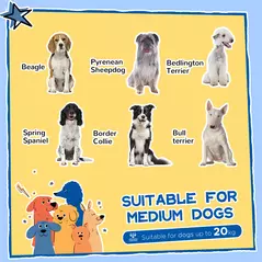 PawHut Wooden Dog Kennel with Removable Floor, Asphalt and Openable Roof, Large Window, for Large Dogs, Yellow - 4