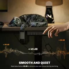 Vinsetto 72-116cm Adjustable Electric Standing Desk, with LED Display - Black - 7