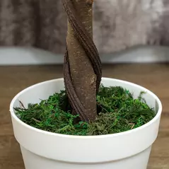 Outsunny Set of Two Faux Rose Trees - Green - 9