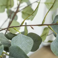 Outsunny 35.5" Topiary Trees Artificial Faux Fakes Spiral Plant Green Cedar Tree Indoor Decor with Nursery Pot - 9