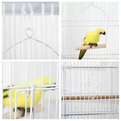 PawHut Large Metal Bird Cage with Perches, Food Bowls, Swing, for Budgies, Parakeets, White - 9