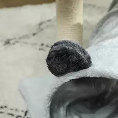 PawHut 47cm Small Cat Tree w/ Scratching Post, Bed, Cat Tunnel, Toy Ball, Grey - 9