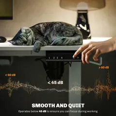 Vinsetto 72-116cm Adjustable Electric Standing Desk, 120 x 60cm Tabletop - White - 9