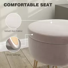 HOMCOM 5L Velvet-Feel Storage Ottoman - Light Pink - 5