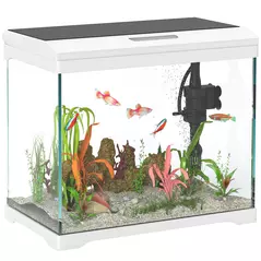 PawHut 27L Glass Fish Tank with Filter System, LED Light, Water Pump, for Betta, Goldfish, Shrimps, White - 1