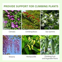 Outsunny Metal Trellis Set of 2, Garden Trellis for Climbing Plants Support Frames, Floral Design - 4