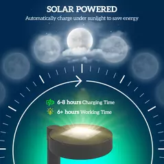 Outsunny Solar Lights Outdoor Garden Stake 8 Pack Pathway Lighting, Solar Stake Lights with Auto On/Off LED, IP44 Waterproof Plastic Outdoor Garden Lighting for Path, Patio and Landscape - 4