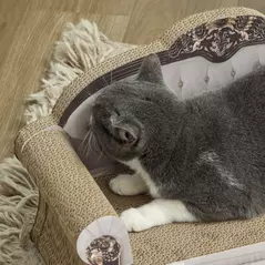 PawHut 2-in-1 Cat Scratcher with Catnip for Indoor Cats, 29.5 x 56 x 26cm, Brown - 9