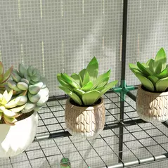 Outsunny Three-Tier Mini Greenhouse - White - 8