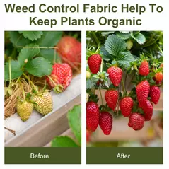 Outsunny 2m x 50m Weed Control Membrane, Heavy Duty Weed Control Barrier Fabric, 90gsm Ground Cover for Patios, Garden, Flower beds, Landscaping - 7