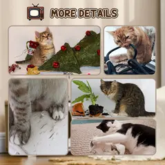 PawHut TV-Shaped Scratching Board with Scratcher, Catnip, Toy Rat, Cat Scratcher for Indoor Cats, 43 x 23 x 32.5cm - 5