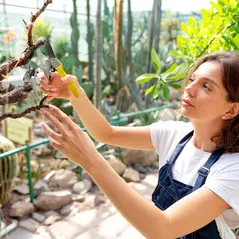 Outsunny 8" Garden Secateurs, Pruning Shears Heavy Duty with Sharp SK5 Blade, Bypass Pruners with Safety Lock and Non-Slip Handles, Lightweight & Ergonomic, Pruning Scissors for Precise Cutting - 1