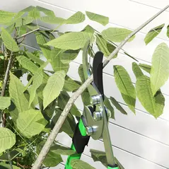 Outsunny 2 Pcs Garden Shears Set, Tree Lopper, Hedge Shears with Telescopic Extendable Handles, Garden Shears for Hedges, Shrubs and Bushes, Lightweight Shrub Care Kit for Cutting, Trimming - 8