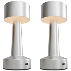 2 Pack Cordless Table Lamp, Touch LED Desk Lamp with Rechargeable Battery, 3 Colour, for Bedroom Living Room, Silver - 1