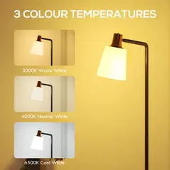 HOMCOM Floor Lamp with 350° Rotatable Head, Modern Standing Lamp with 3000K/4000K/6500K Colour Temperatures for Living Room Bedroom Office, Black - 4