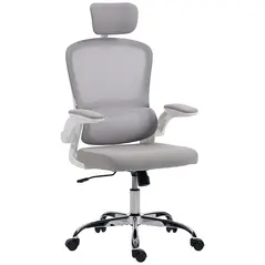 HOMCOM Mesh Back Office Chair, with Lumbar Support - Grey - 1
