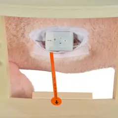 HOMCOM Kids Rocking Rabbit, Plush Rocking Horse Ride-On w/ Sound, Wood Base, Seatbelt, for Ages 18-36 Months, Pink - 9