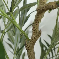 HOMCOM Silk Leaf Artificial Olive Trees - 9