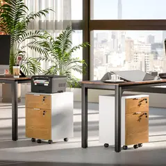 HOMCOM Two-Drawer Lockable Filing Cabinet - Wood Effect - 9