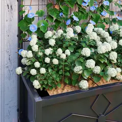 Outsunny Raised Bed for Garden with Trellis, Galvanised Planter Box with Diamond Pattern, Drainage Holes for Vegetables, Herbs and Flowers, 90 x 40 x 120 cm, Black - 9