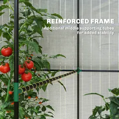 Outsunny Walk-in Greenhouse, Outdoor Tomato Greenhouse with Roll-up Door and Mesh Windows, PE Cover, 200 x 140 x 200cm, White - 5