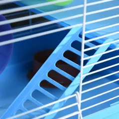 Pawhut 2 Tier Hamster Cage, Gerbil Cage with Handle, Exercise Wheels, Tunnel, Tube, Water Bottle, Dishes, Ladder, for Dwarf, Blue - 9