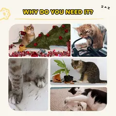 PawHut 63cm Cat Scratching Post, Cat Scratcher with Replaceable Scratching Board, Top Perch, Sisal Scratch Mat, Oak - 7