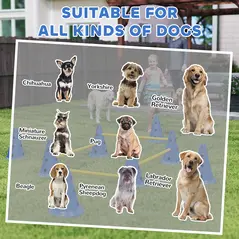 PawHut Dog Agility Equipment Set of Eight Cones, Eight Poles w/ Carry Bag, Four-Piece Adjustable Height Jumping Obstacles Blue - 8