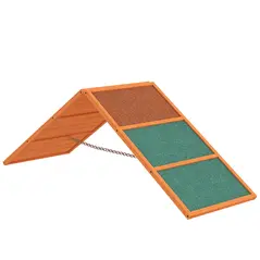 PawHut Dog Agility Equipment, Dog Playground Equipment with Non-slip Surface, A-frame, Agility Ramp for All Breeds, Orange - 1