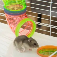 PawHut Hamster Cage w/ Water Bottle, Exercise Wheel, Tubes, Ramps - Light Blue - 9