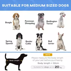 PawHut Raised Dog Bed Cat Elevated Lifted Portable Camping w/ Metal Frame Blue (Medium) - 4