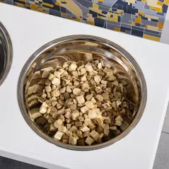 PawHut Raised Dog Feeding Bowls with Stand, Stainless Steel for  Extra Small and Small Dog, 44L x 24W x 15H cm - White - 7