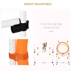 PawHut 3 Piece Pet Agility Training Equipment Dog Play Run Jump Obedience Training Set Adjustable (Pole + Hoop + Hurdle) - 6