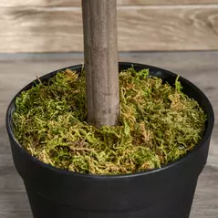 Outsunny Artificial Bay Laurel Topiary Trees w/ Pot Fake, Set Of 2 90cm/3FT Indoor Greenery Plant Home Office Garden Decor Green - 8