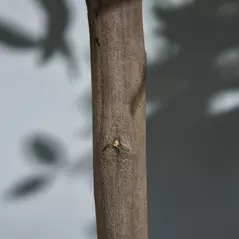 Outsunny Artificial Bay Laurel Topiary Trees w/ Pot Fake, Set Of 2 90cm/3FT Indoor Greenery Plant Home Office Garden Decor Green - 9