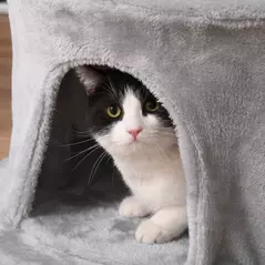 PawHut Cat Tree for Indoor Cats Kitten Tower Multi-level Activity Centre Pet Furniture with Scratching Post Condo Hanging Ropes Plush Perches Grey - 8