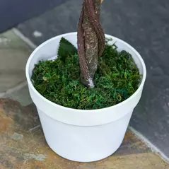 Outsunny Artificial Plants White Rose Floral in Pot, Fake Plants for Home Indoor Decor, 90cm - 9