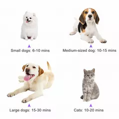 PawHut Dog Hair Dryer Pet Grooming Blaster Dryer Blower Adjustable Temperature Speed with 2.1M Flexible Hose 3 Nozzles - Purple - 6