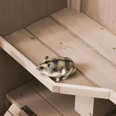 PawHut Wooden Hamster Cage, Mice Rodent Small Animals Kit Hutch, 3 Tiers Exercise Play House, with Wheels, Bottom Tray, 99 x 50 x 69 cm, Natural Wood - 9