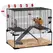 PawHut Gerbil Cage Dwarf Hamster Cage, with Deep Glass Bottom, Tunnels, Hut, Exercise Wheel, 60 x 40 x 57cm - 1