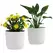 Outsunny Set of Two Ф22cm Planters - White - 1