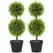 HOMCOM Set of 2 Decorative Artificial Trees, Topiary Ball-shaped Boxwood Trees in Pot, Fake Plants for Home Indoor outdoor Decor, 60cm, 2 Tree Balls - 1