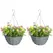 HOMCOM Set of 2 Artificial Hanging Cosmos Flowers - Multi-Colored - 1